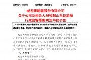 威龙股份被责令改正，时任董事长黄祖超、总经理孙砚田被出具警示函