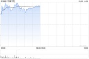 中国中免现涨逾3% 公司有望于2025年实现营收正增长