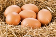 鸡蛋期货重回3000元关口，贸易商抛售冷库蛋，9月消费能否点燃