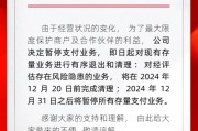 开店宝暂停支付业务 支付行业加速出清
