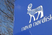 诺和诺德涨超13% 减肥药早期试验结果良好