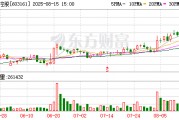 603161，实控人或变更！今日一度涨停！