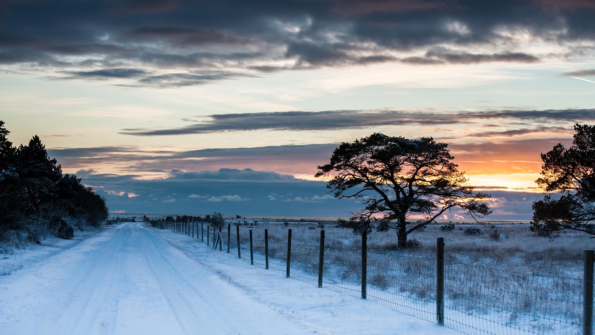 天见其明，地见其光，君子贵其全也。