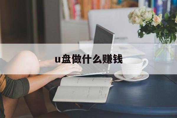 u盘做什么赚钱_u盘做什么赚钱快？
